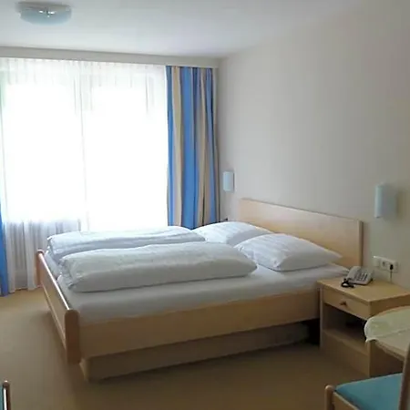 Hotel Alpina *